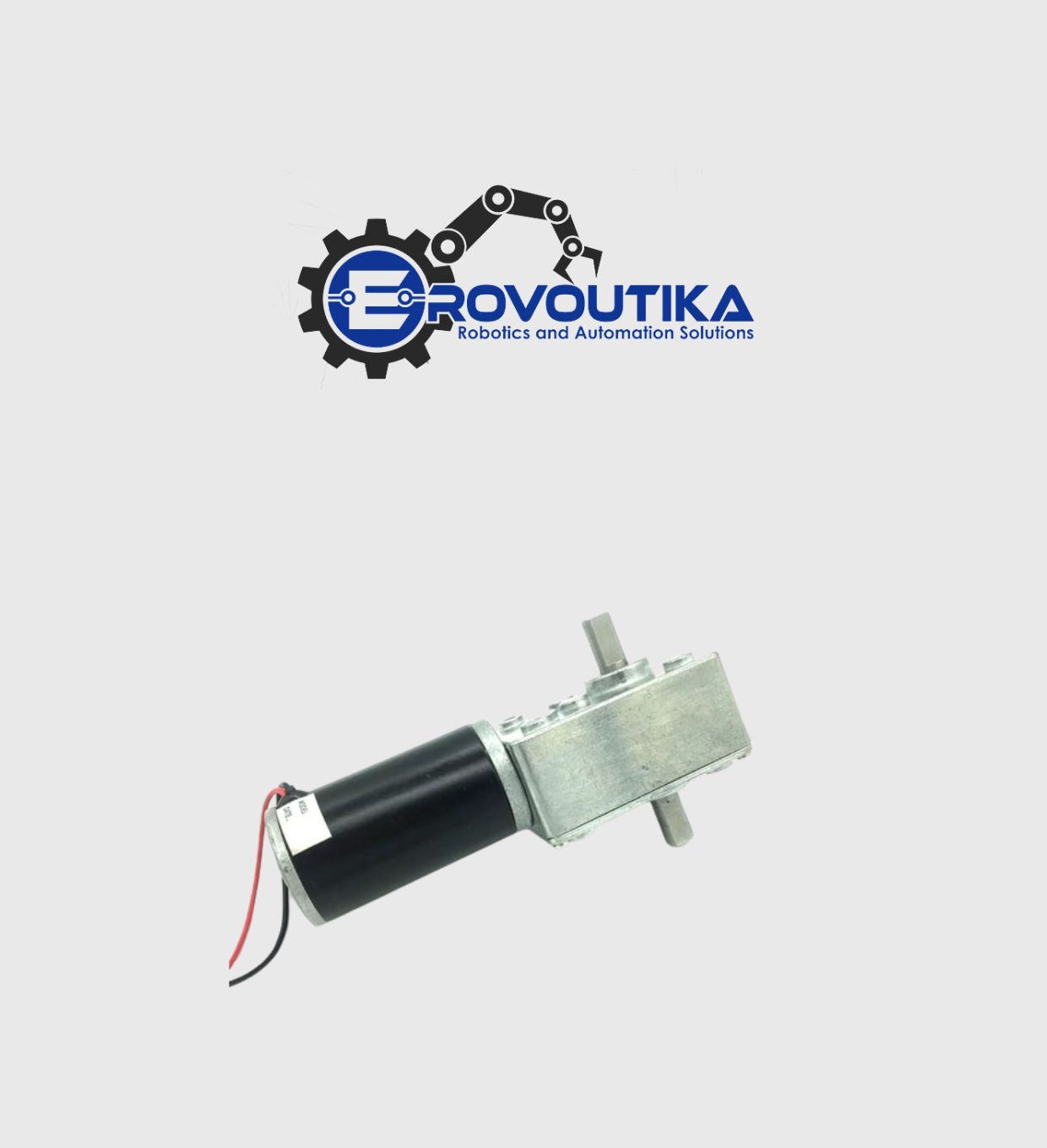 DC Worm Gear Motor SGM-A58SW31ZYS 12V 80RPM | Shop |Erovoutika